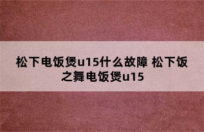 松下电饭煲u15什么故障 松下饭之舞电饭煲u15